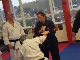 Image result for Cobra Karate Club