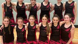 Image result for Greencroft Netball Club