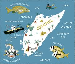 Resultado de imagen para cozumel dive