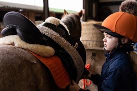 Image result for Liverpool Equestrian Club