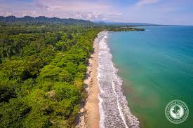 Image result for cahuita costa rica