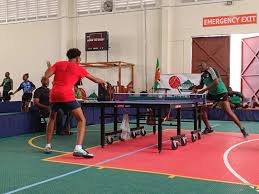 Image result for St Vincents Badminton Club