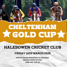 Image result for Halesowen Cricket Club