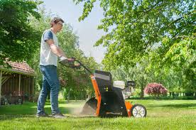 Image result for eliet tehron