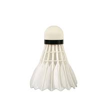 Image result for Lings Badminton Club