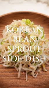 Image result for bean sprout