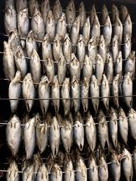 Image result for The Lancaster Fish