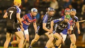 Image result for Patrick Sarsfield Gaelic Athletic Club