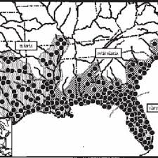 Attēlu rezultāti vaicājumam “Reticularia sp.”