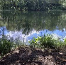 Image result for CALPAC Angling Club