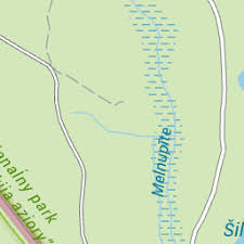 Attēlu rezultāti vaicājumam “Choerades sp.”