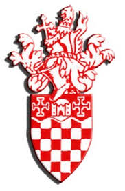 Image result for Redhill Fc (Social) Club