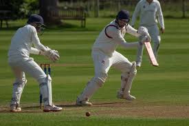 Image result for Chichester Priory Park Cc