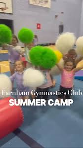 Image result for Farnham Gymnastics Club