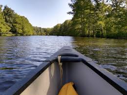 Image result for Castle Hill Canoe and Kayak Club