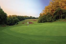 Image result for Central London Golf Club