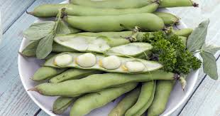 Image result for Dicke Bohnen