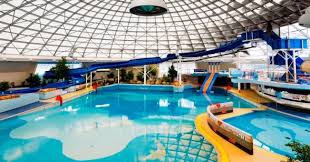 Image result for Swindon Amateur Swimming Club