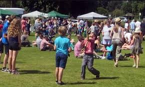 Image result for Shalford Cricket Club