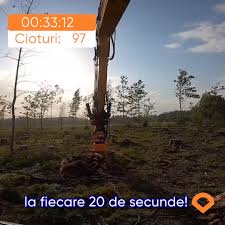 Image result for pfanzelt tehron