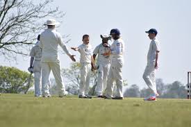 Image result for Nazeing Common Cricket Club