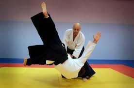 Image result for Ellis Schools of Traditional Aikido