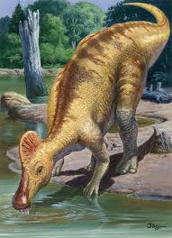 Bildergebnis für corythosaurus