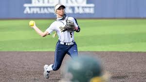 Image result for Brighton Beachcombers Softball Club