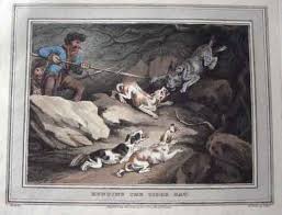 Image result for Shooting, Hunting, Fieldsports on Art prints from 1700's to 1900's