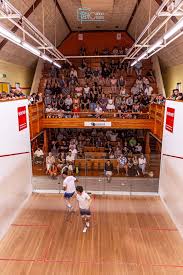 Image result for Sydenham Squash Club