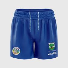 Image result for St Rita`s Camogie Club