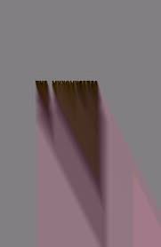 Attēlu rezultāti vaicājumam “Didymium xanthopus stalked”