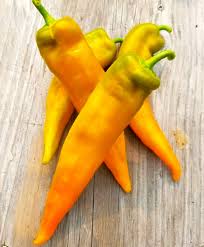 Afbeeldingsresultaat voor marconi golden sweet pepper