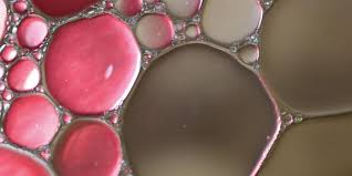 Attēlu rezultāti vaicājumam “Physarum globuliferum macro”