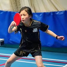 Image result for Dml Woolwell Table Tennis Club