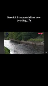 Image result for Lambton Rowing Club