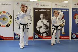 Image result for I T F Taekwondo (Andover)