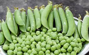 Image result for Erbsen