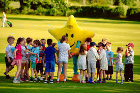 Image result for Knockin & Kinnerley Cricket Club