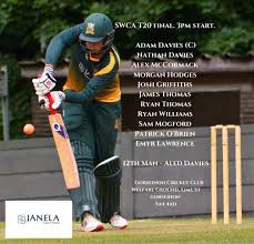 Image result for Ynysygerwn Cricket Club