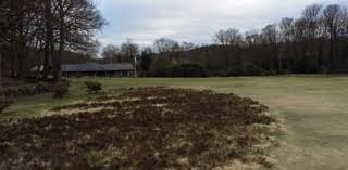 Image result for Charnwood Forest Golf Club