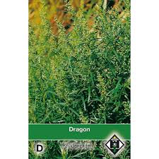 Image result for Artemisia dracunculus