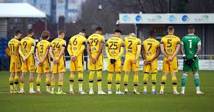 Image result for Sutton United Netball Club