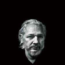 Image result for julian assange