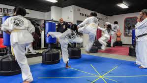 Image result for Ryusui-ryu Martial Arts School East Grinstead