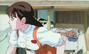 Image result for roujin z