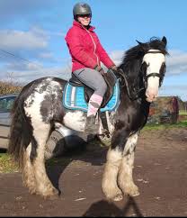 Image result for Devizes Dazzlers