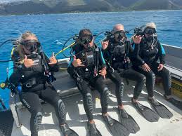 Image result for Dive Crew Scuba Diving