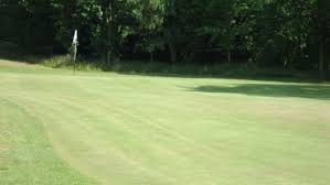 Image result for Beith Golf Club