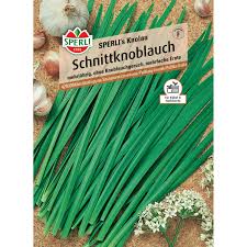 Image result for Schnittknoblauch